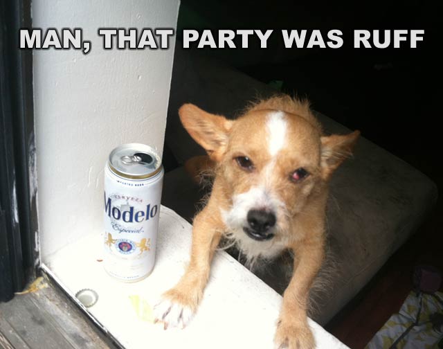 Man, That party was ruff