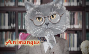 Animungus – Episode 1 “Why There Are No Cat Philosophers” “